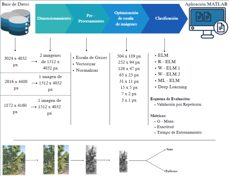 Publicación de paper en revista WoS Applied Sciences